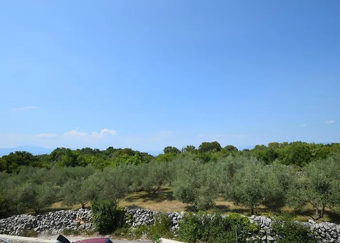 Sara * مالينسكا